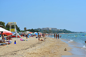 Apartments Dimitra - Dionisiou Beach - Halkidiki - Greece